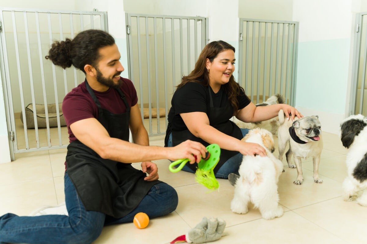 Pension Chien Grenoble