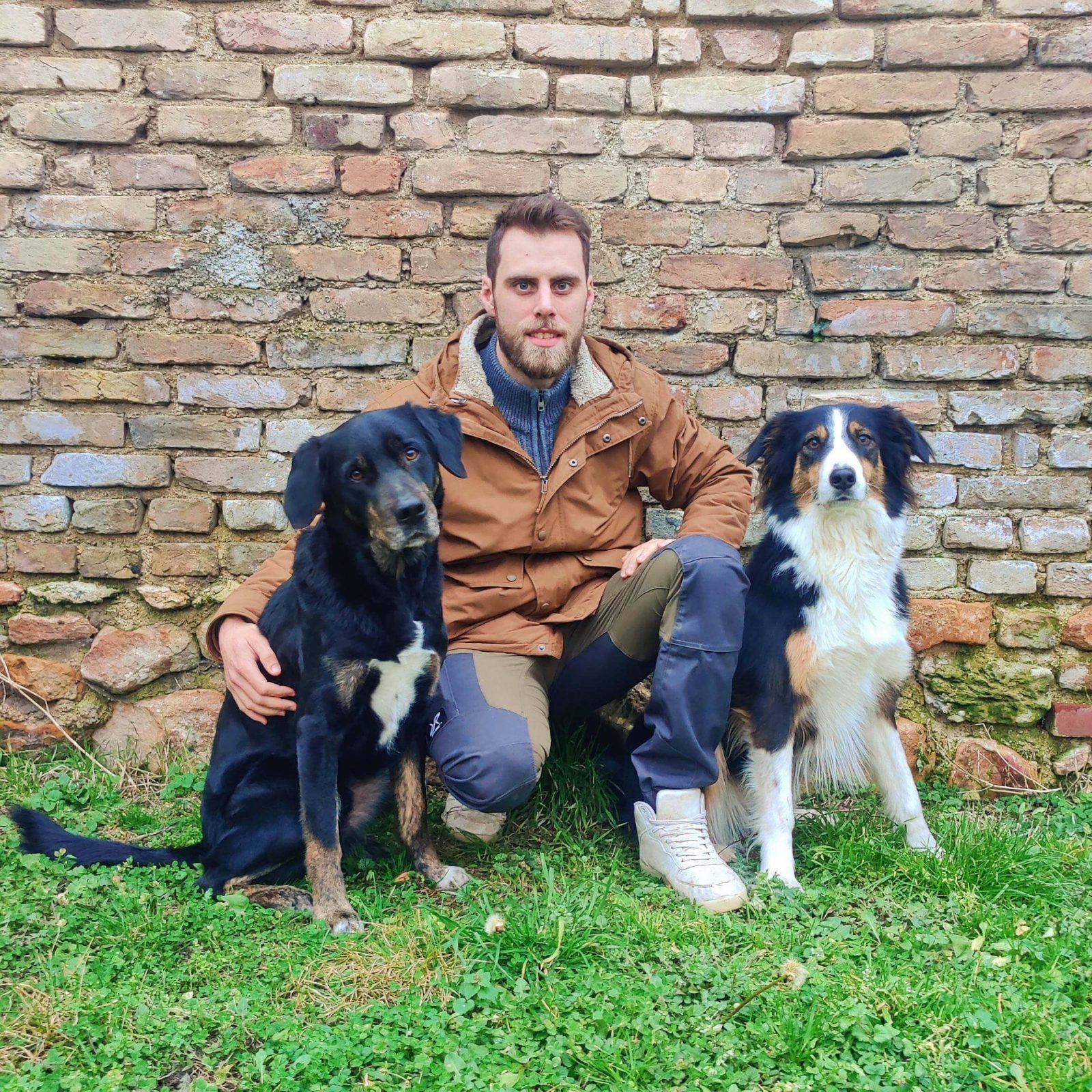 éducateur canin Marne