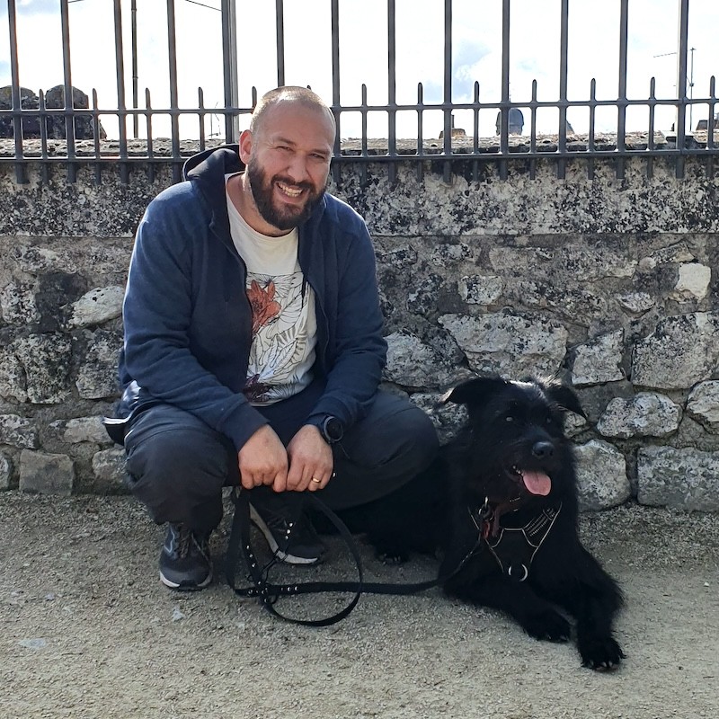 Dressage chien Rennes