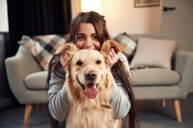 Pension Familiale Chien Toulouse