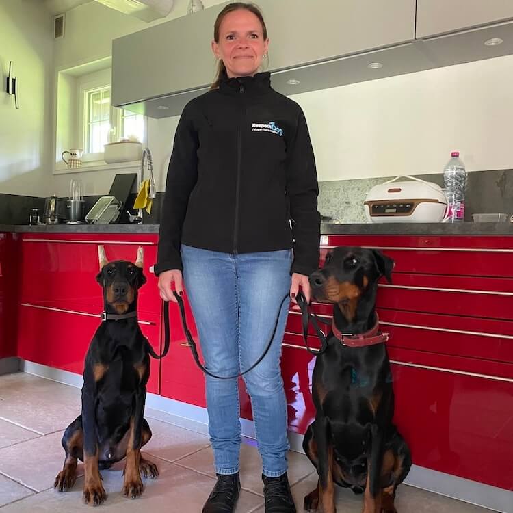 comportementaliste canin Gaillon