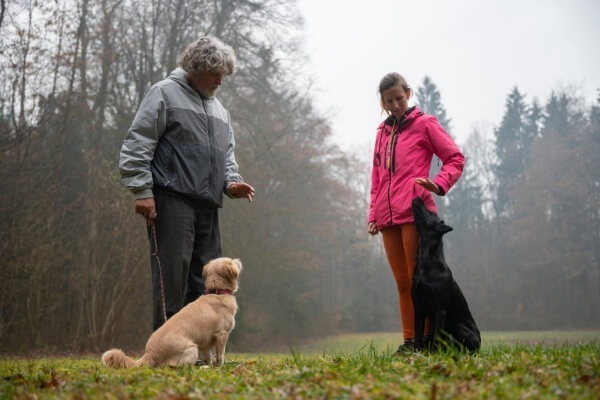 éducateur canin à angoulême