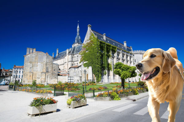 Promener son chien à Angoulême