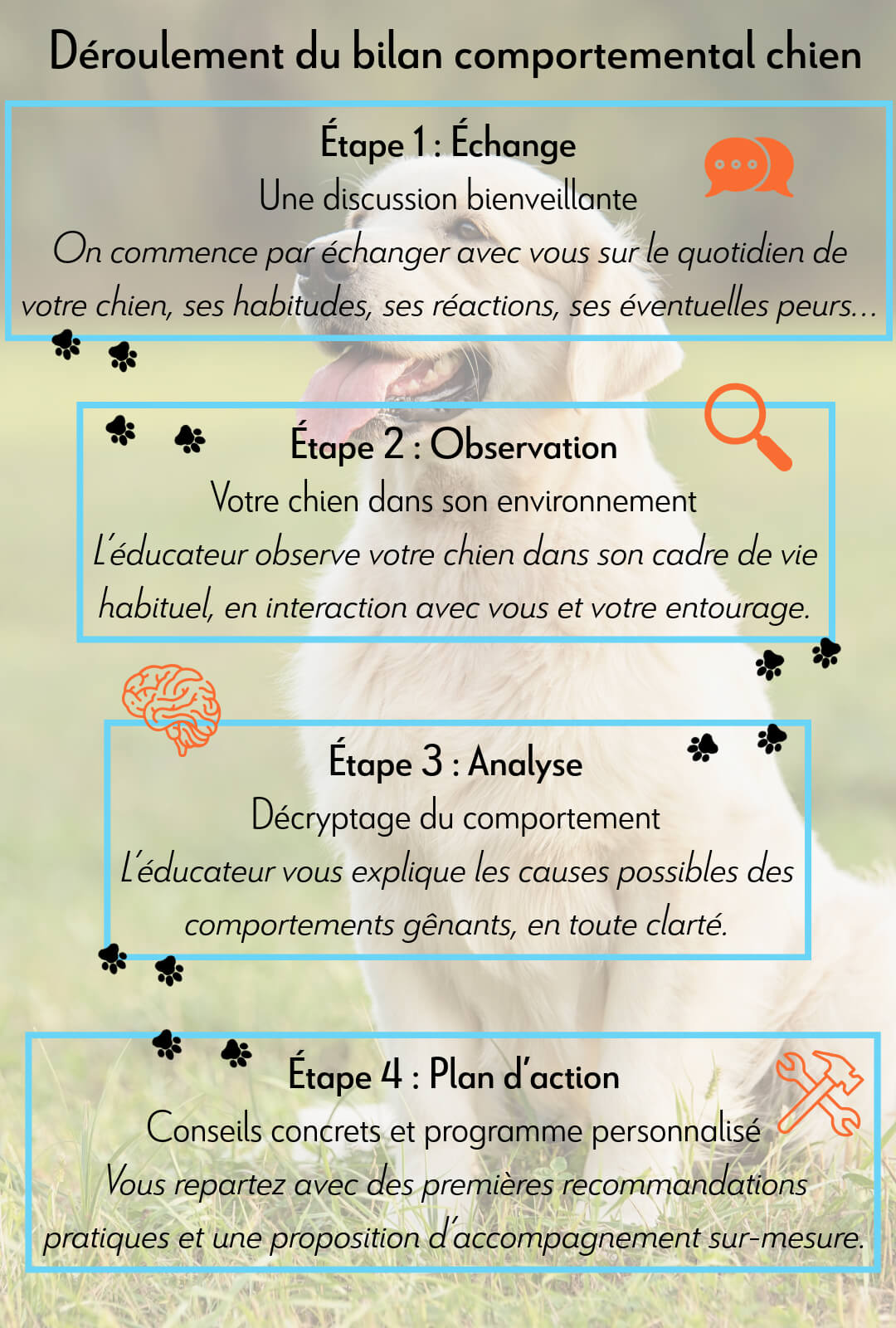 Evaluation comportementale chien