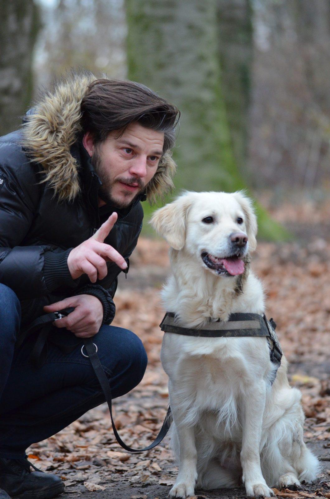 éducateur canin, somme, seine maritime, normandie, éducateur canin somme, éducateur canin seine maritime, éducateur canin normandie, dressage chien, éducation canine, troubles comportement chien, comportementaliste pour chien