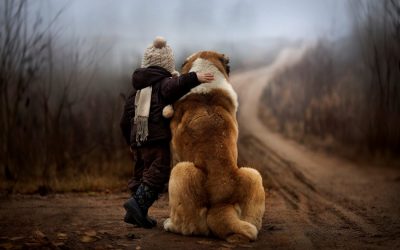 Les besoins du chien : 3 piliers fondamentaux