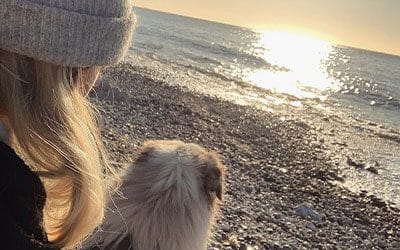 Où promener son chien au Havre ?