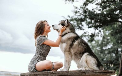 5 raisons de devenir éducateur canin : 5 Avantages de ce métier passion !