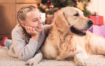 40 Idées de Nom de Chien 2022 en T