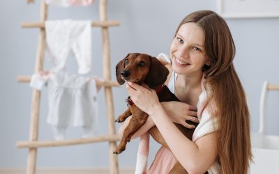 Toilettage chien Aix-en-Provence : les 9 meilleures adresses