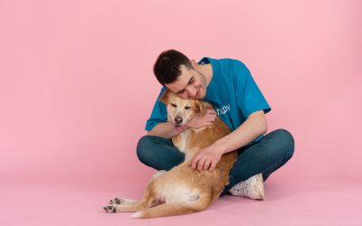 Adopter un chien à Aix-en-Provence ? Les 6 meilleures adresses