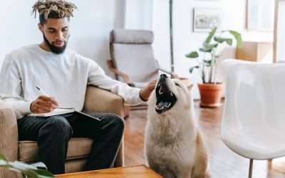 Les signaux d’apaisement du chien
