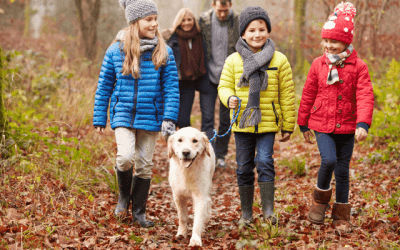 Promener son chien : 5 conseils pour la balade PARFAITE