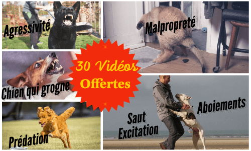 30-Vidéos 30 Vidéos