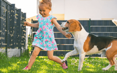 Patron moteur chien : 8 aspects pour comprendre la prédation de ton chien.