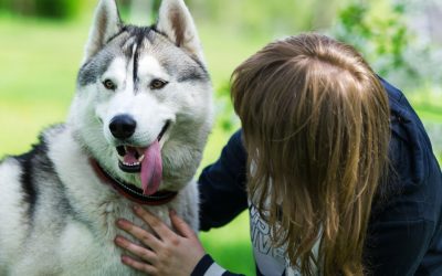 5 avantages à faire appel à un éducateur canin à domicile à Pont-Audemer