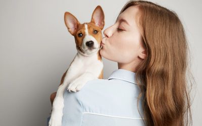 Anthropomorphisme chien : Comprends-tu vraiment ton chien ? 5 points pour bien comprendre