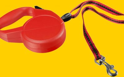 Laisse enrouleur chien : 4 raisons de ne plus l’utiliser !