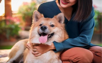 Comment rendre son chien heureux : 6 Conseils et astuces à connaître