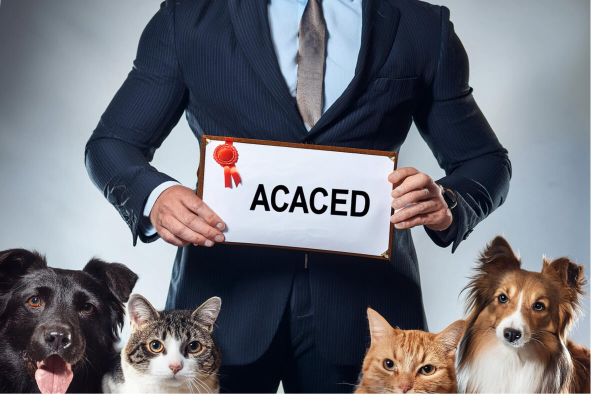 acaced definition