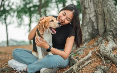 5 Raisons de Devenir Éducateur Canin Paris avec RespectDogs