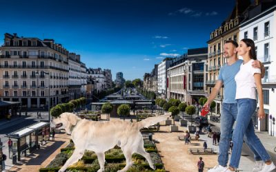 Où promener son chien à Rennes ? Les 5 balades incontournables à découvrir 🐶🌳