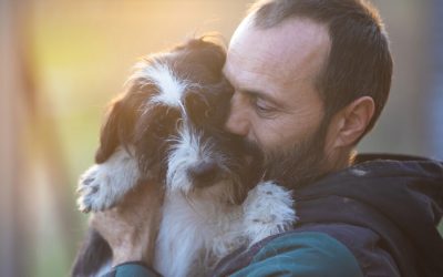 SPA Nantes chien : 5 clés pour bien adopter et éduquer un chien de refuge