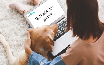 🧠 QCM ACACED gratuit : teste tes connaissances avant le jour J !