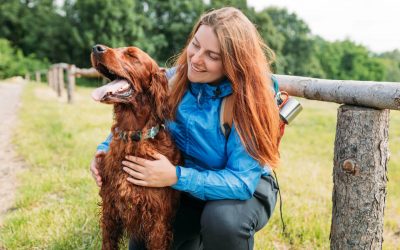 Garde chien Nantes : 4 adresses fiables pour partir l’esprit tranquille