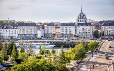Top 5 des parcs dog-friendly pour promener son chien à Nantes